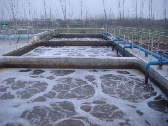 Shenxian Tianyuan Meat Processing Co., Ltd. sewage treatment works